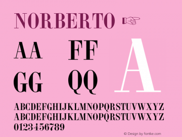 ☞Norberto Version 1.003;com.myfonts.castletype.norberto.regular.wfkit2.3U9k Font Sample