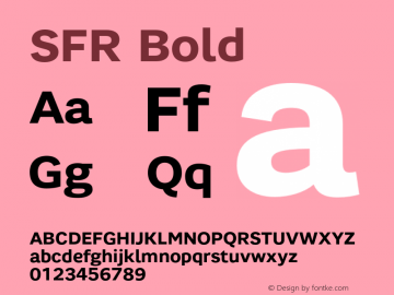 SFR-Bold Version 001.001 Font Sample