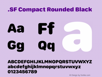 .SF Compact Rounded Black 13.0d1e1图片样张