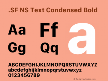 .SF NS Text Condensed Bold 13.0d0e8 Font Sample