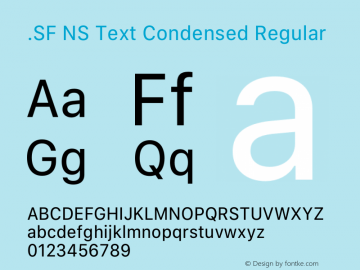 .SF NS Text Condensed Regular 13.0d0e8图片样张