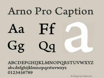 ArnoPro-Caption Version 1.010;PS 1.000;hotconv 1.0.50;makeotf.lib2.0.15868 Font Sample