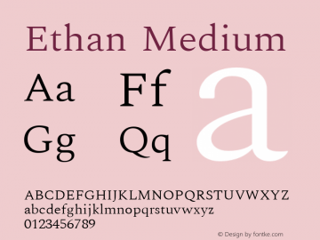 Ethan Medium Version 1.0图片样张