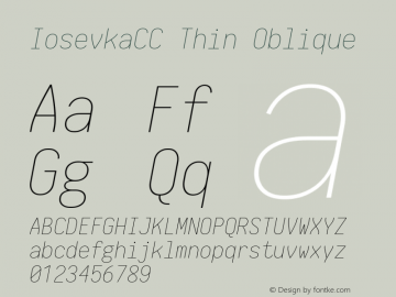 IosevkaCC Thin Oblique 1.13.2; ttfautohint (v1.6) Font Sample