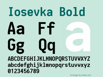 Iosevka Bold 1.13.2; ttfautohint (v1.6) Font Sample