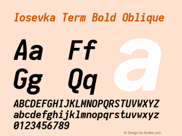 Iosevka Term Bold Oblique 1.13.2; ttfautohint (v1.6)图片样张