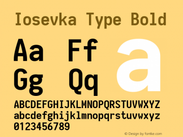 Iosevka Type Bold 1.13.2; ttfautohint (v1.6)图片样张