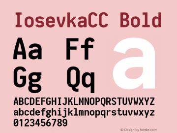 IosevkaCC Bold 1.13.2; ttfautohint (v1.6) Font Sample