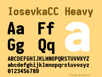 IosevkaCC Heavy 1.13.2; ttfautohint (v1.6) Font Sample