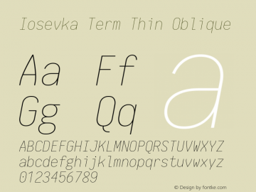 Iosevka Term Thin Oblique 1.13.2; ttfautohint (v1.6)图片样张