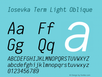 Iosevka Term Light Oblique 1.13.2; ttfautohint (v1.6)图片样张