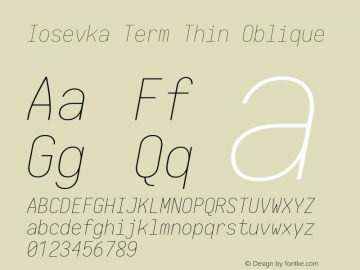 Iosevka Term Thin Oblique 1.13.2; ttfautohint (v1.6)图片样张