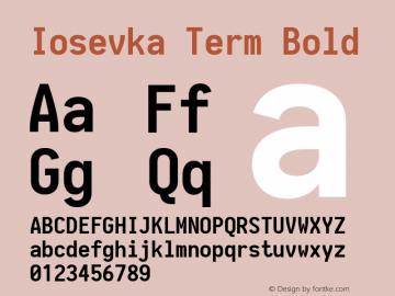 Iosevka Term Bold 1.13.2; ttfautohint (v1.6)图片样张