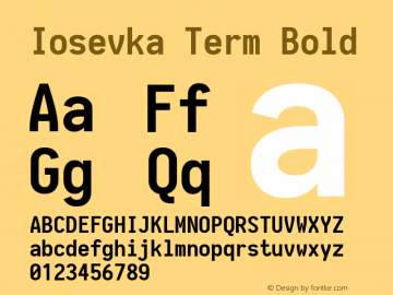 Iosevka Term Bold 1.13.2; ttfautohint (v1.6)图片样张