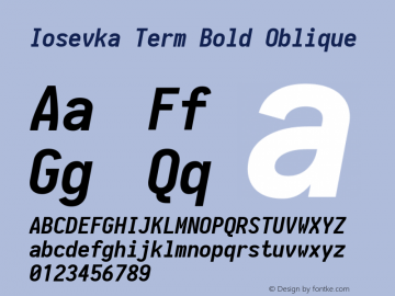 Iosevka Term Bold Oblique 1.13.2; ttfautohint (v1.6)图片样张