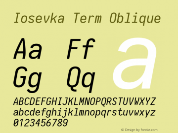 Iosevka Term Oblique 1.13.2; ttfautohint (v1.6)图片样张