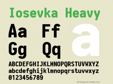 Iosevka Heavy 1.13.2; ttfautohint (v1.6) Font Sample