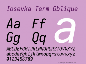 Iosevka Term Oblique 1.13.2; ttfautohint (v1.6)图片样张