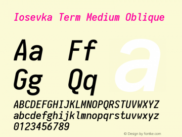 Iosevka Term Medium Oblique 1.13.2; ttfautohint (v1.6)图片样张