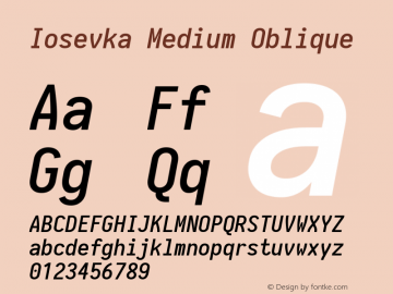 Iosevka Medium Oblique 1.13.2; ttfautohint (v1.6) Font Sample
