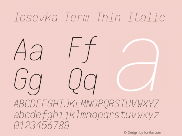 Iosevka Term Thin Italic 1.13.2; ttfautohint (v1.6)图片样张