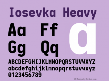 Iosevka Heavy 1.13.2; ttfautohint (v1.6) Font Sample