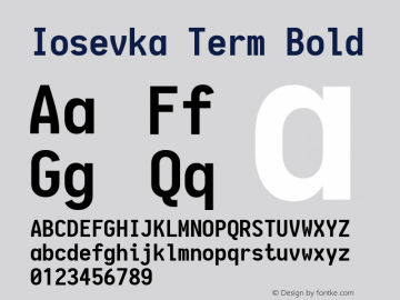 Iosevka Term Bold 1.13.2; ttfautohint (v1.6)图片样张