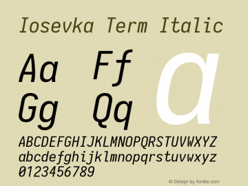 Iosevka Term Italic 1.13.2; ttfautohint (v1.6)图片样张