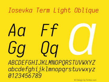 Iosevka Term Light Oblique 1.13.2; ttfautohint (v1.6)图片样张