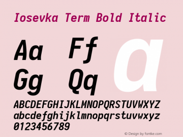 Iosevka Term Bold Italic 1.13.2; ttfautohint (v1.6)图片样张