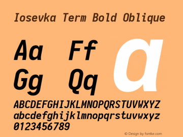 Iosevka Term Bold Oblique 1.13.2; ttfautohint (v1.6)图片样张