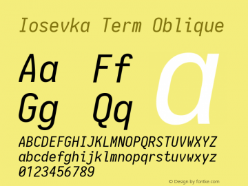 Iosevka Term Oblique 1.13.2; ttfautohint (v1.6)图片样张