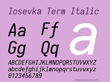 Iosevka Term Italic 1.13.2; ttfautohint (v1.6)图片样张