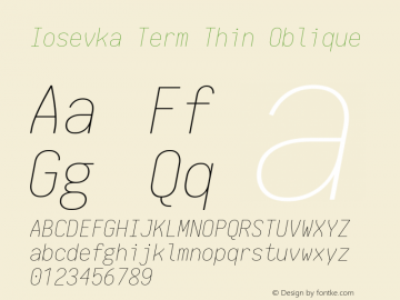 Iosevka Term Thin Oblique 1.13.2; ttfautohint (v1.6)图片样张