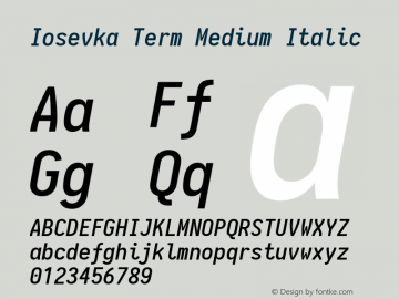 Iosevka Term Medium Italic 1.13.2; ttfautohint (v1.6)图片样张