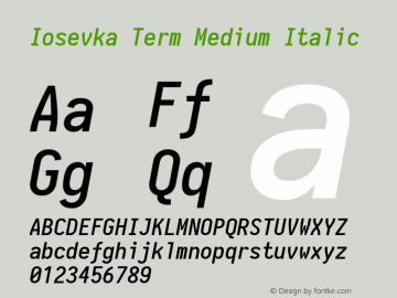 Iosevka Term Medium Italic 1.13.2; ttfautohint (v1.6)图片样张