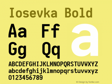 Iosevka Bold 1.13.2; ttfautohint (v1.6) Font Sample