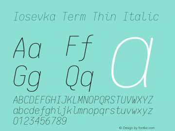 Iosevka Term Thin Italic 1.13.2; ttfautohint (v1.6)图片样张
