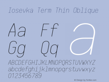 Iosevka Term Thin Oblique 1.13.2; ttfautohint (v1.6)图片样张