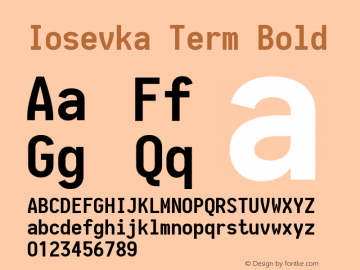 Iosevka Term Bold 1.13.2; ttfautohint (v1.6)图片样张