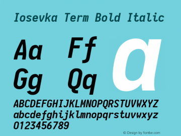 Iosevka Term Bold Italic 1.13.2; ttfautohint (v1.6)图片样张