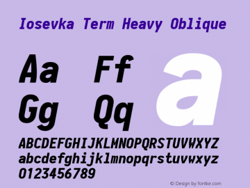 Iosevka Term Heavy Oblique 1.13.2; ttfautohint (v1.6)图片样张