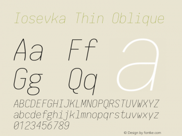 Iosevka Thin Oblique 1.13.2; ttfautohint (v1.6) Font Sample
