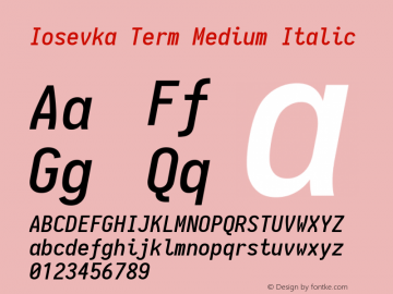 Iosevka Term Medium Italic 1.13.2; ttfautohint (v1.6)图片样张