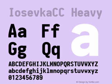 IosevkaCC Heavy 1.13.2; ttfautohint (v1.6) Font Sample