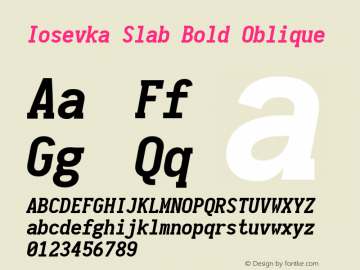 Iosevka Slab Bold Oblique 1.13.2; ttfautohint (v1.6)图片样张