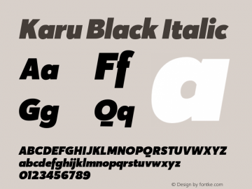 Karu-BlackItalic Version 1.000;PS 001.000;hotconv 1.0.88;makeotf.lib2.5.64775 Font Sample