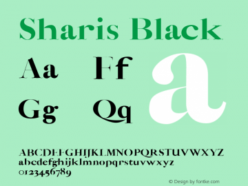 Sharis Black Version 1.0图片样张