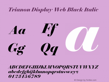 Trianon Display Black Italic Version 1.202;PS 1.202;hotconv 1.0.72;makeotf.lib2.5.5900; ttfautohint (v1.3.34-f4db) Font Sample