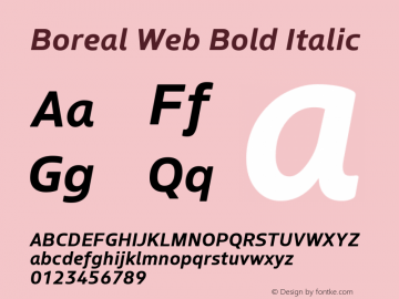 Boreal Web Bold Italic Version 1.001;PS 1.1;hotconv 1.0.72;makeotf.lib2.5.5900; ttfautohint (v1.3) Font Sample